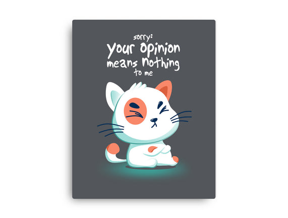 Your Opinion Means Nothing