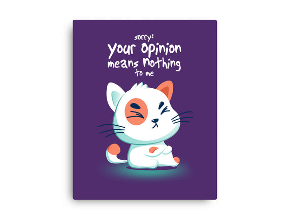 Your Opinion Means Nothing