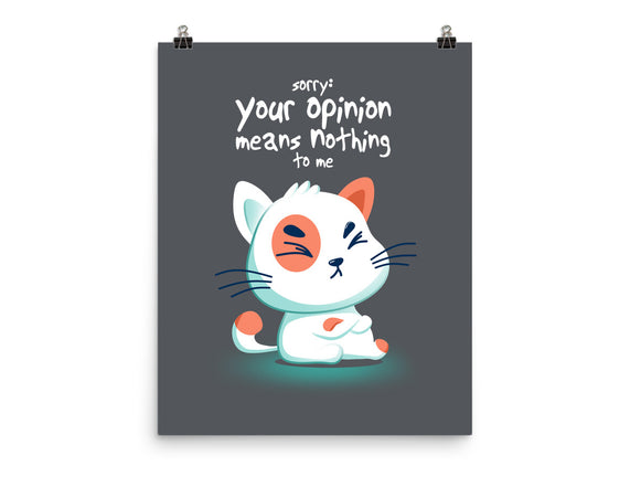 Your Opinion Means Nothing