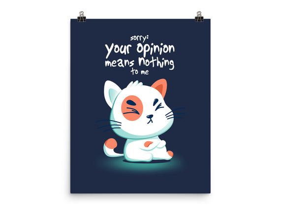 Your Opinion Means Nothing