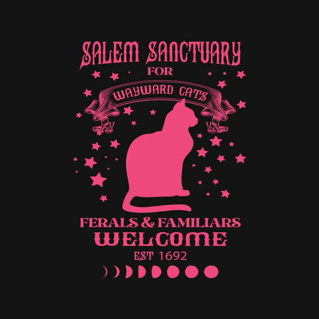 Salem Sanctuary-cat adjustable pet collar-ShirtMcGirt