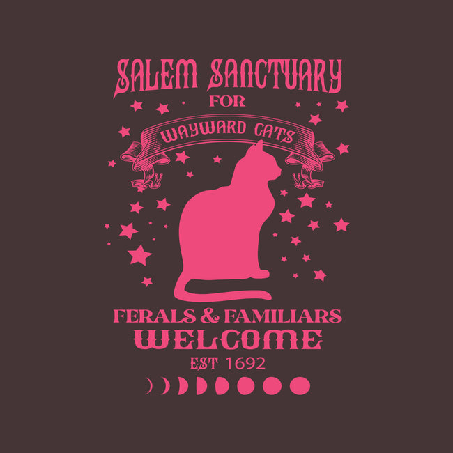 Salem Sanctuary-none basic tote bag-ShirtMcGirt