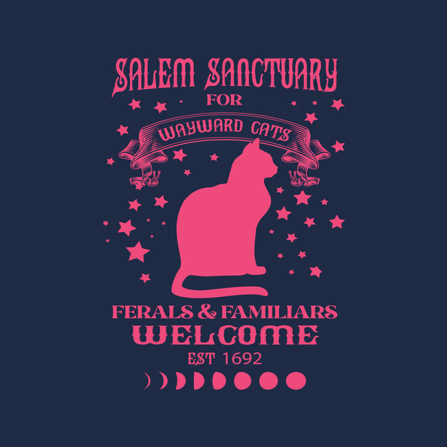 Salem Sanctuary-none beach towel-ShirtMcGirt