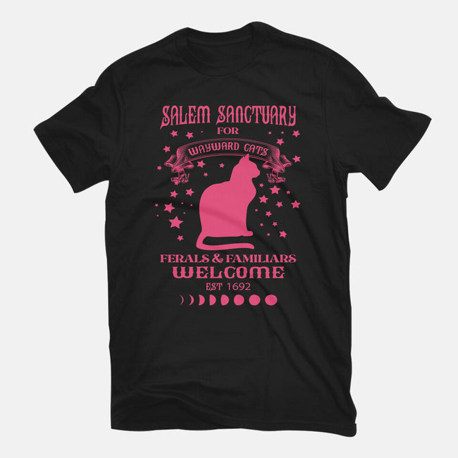 Salem Sanctuary-womens basic tee-ShirtMcGirt