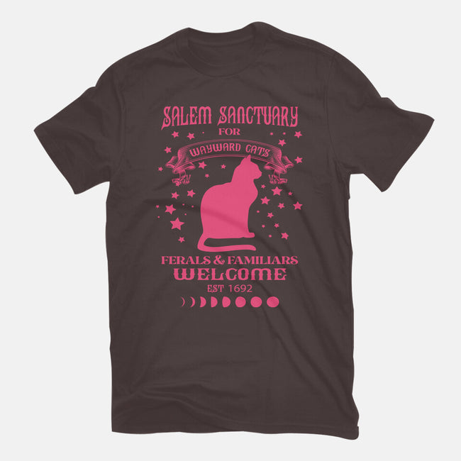Salem Sanctuary-womens basic tee-ShirtMcGirt