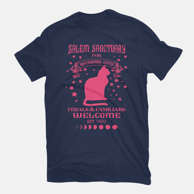 Salem Sanctuary-womens fitted tee-ShirtMcGirt