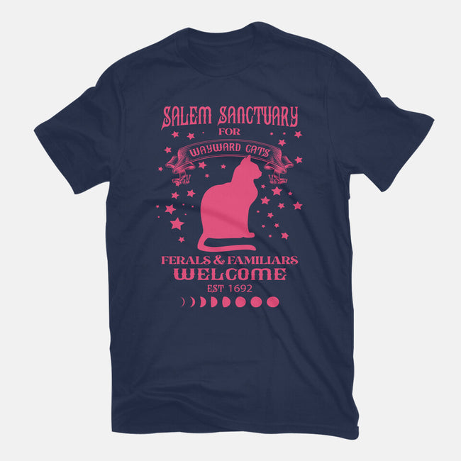 Salem Sanctuary-womens basic tee-ShirtMcGirt