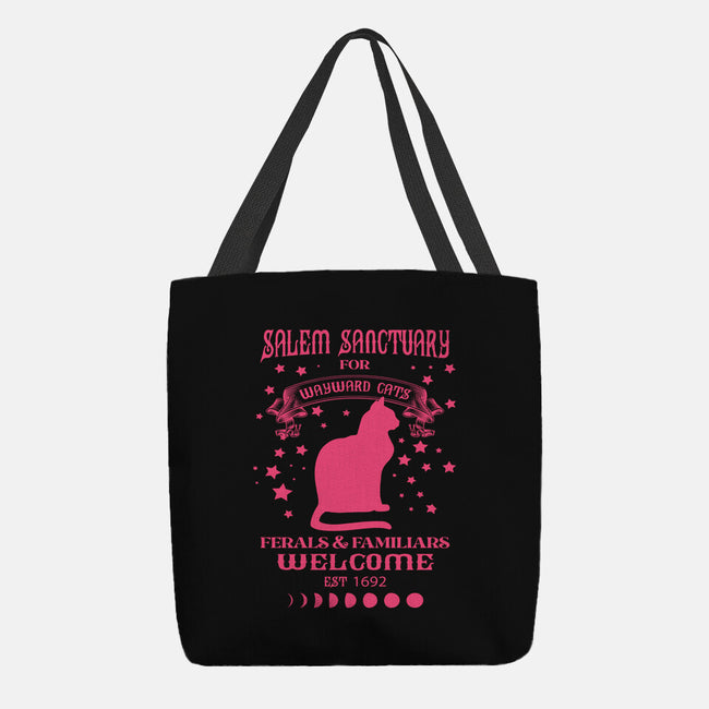 Salem Sanctuary-none basic tote bag-ShirtMcGirt