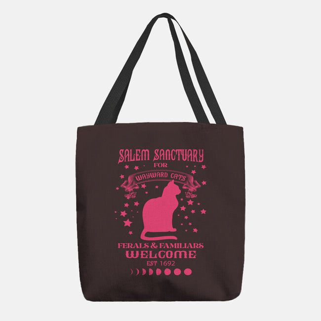 Salem Sanctuary-none basic tote bag-ShirtMcGirt