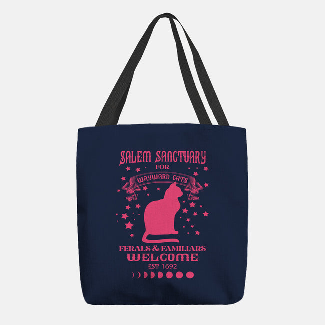 Salem Sanctuary-none basic tote bag-ShirtMcGirt