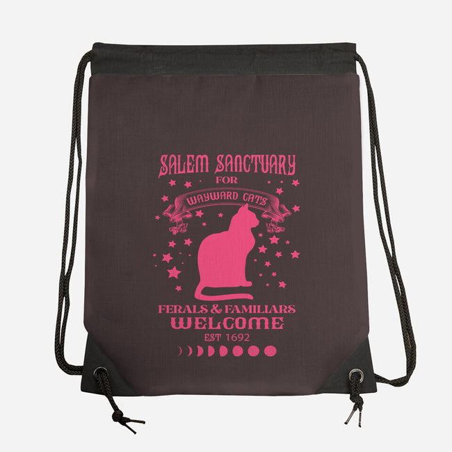 Salem Sanctuary-none drawstring bag-ShirtMcGirt