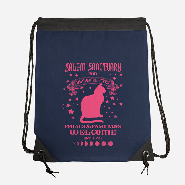 Salem Sanctuary-none drawstring bag-ShirtMcGirt