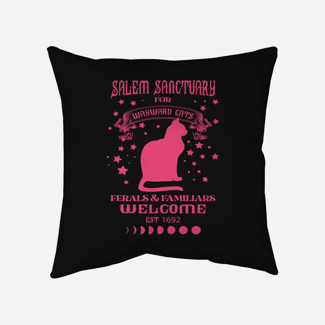 Salem Sanctuary-none removable cover w insert throw pillow-ShirtMcGirt