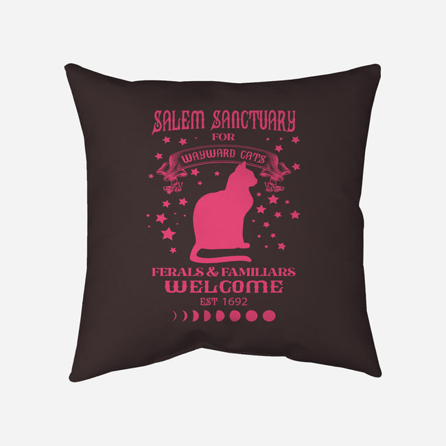 Salem Sanctuary-none removable cover w insert throw pillow-ShirtMcGirt