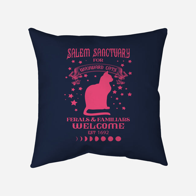 Salem Sanctuary-none removable cover w insert throw pillow-ShirtMcGirt