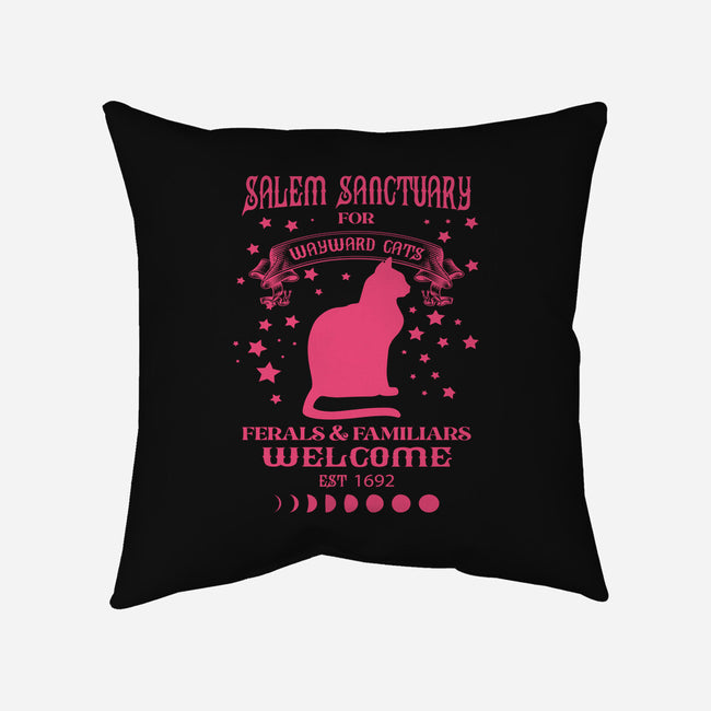 Salem Sanctuary-none removable cover throw pillow-ShirtMcGirt