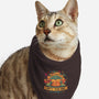 Food Sensitive-cat bandana pet collar-teesgeex