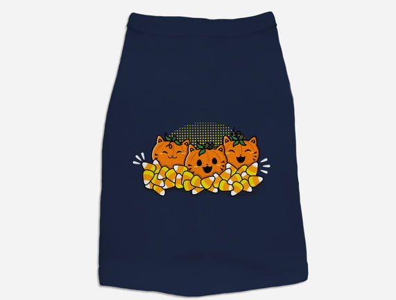 Pumpkin Cats