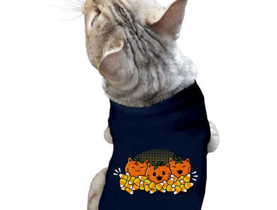 Pumpkin Cats