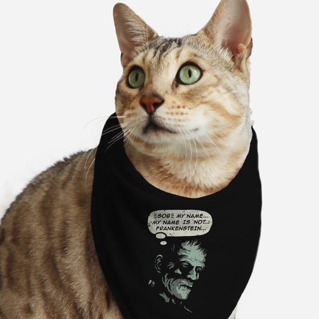 My Name Is Not Frankenstein-cat bandana pet collar-kg07