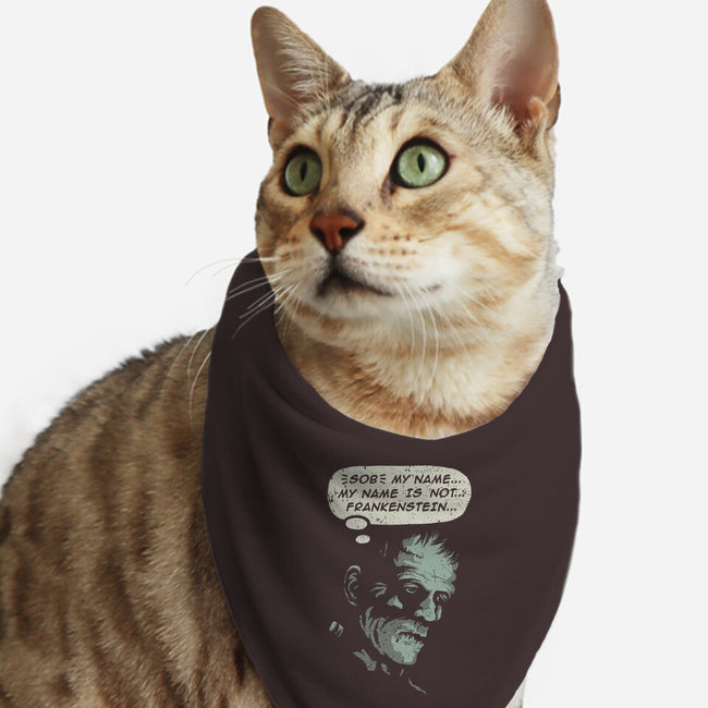 My Name Is Not Frankenstein-cat bandana pet collar-kg07