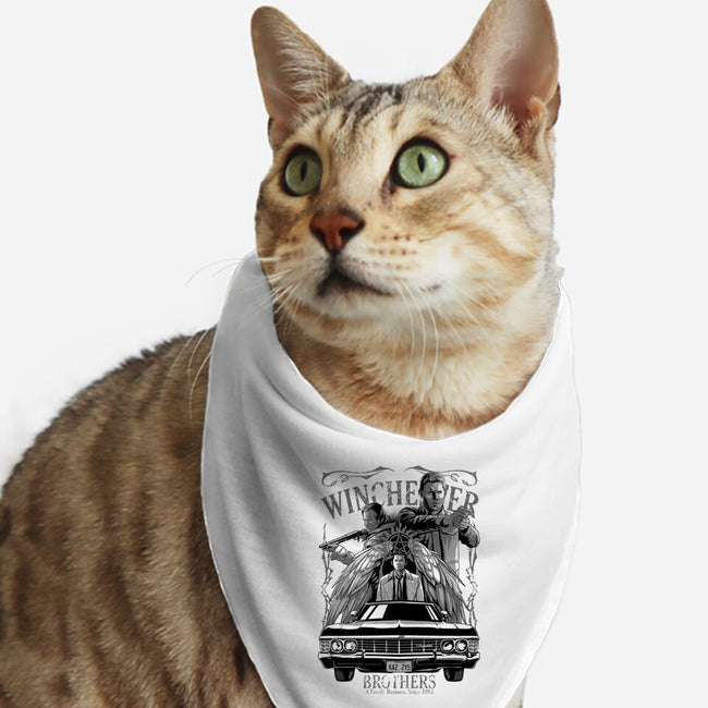 Hunt Between Brothers-cat bandana pet collar-Conjura Geek