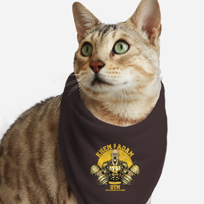Adam Gym-cat bandana pet collar-joerawks