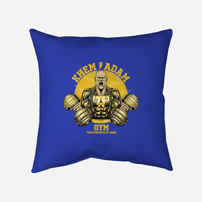 Adam Gym-none removable cover throw pillow-joerawks