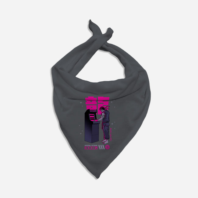 Street Gamer-cat bandana pet collar-retrodivision