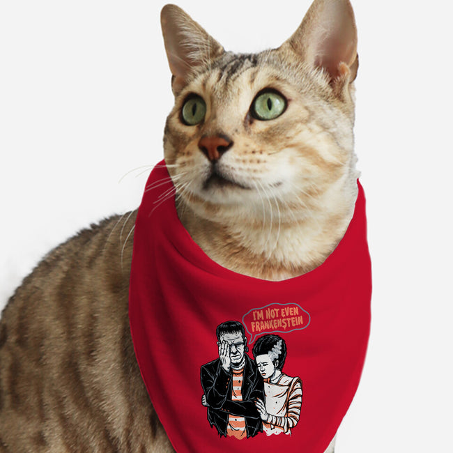 I'm Not Even Frankenstein-cat bandana pet collar-momma_gorilla