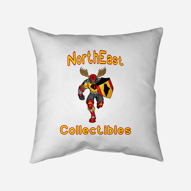 Northeast Collectibles-none removable cover w insert throw pillow-Northeast Collectibles