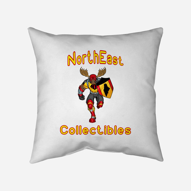 Northeast Collectibles-none removable cover throw pillow-Northeast Collectibles