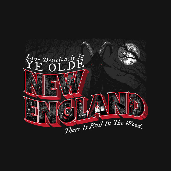 Live Deliciously In Olde New England-womens racerback tank-goodidearyan