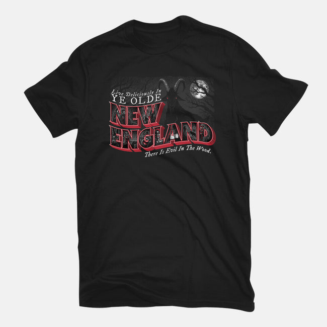 Live Deliciously In Olde New England-mens heavyweight tee-goodidearyan