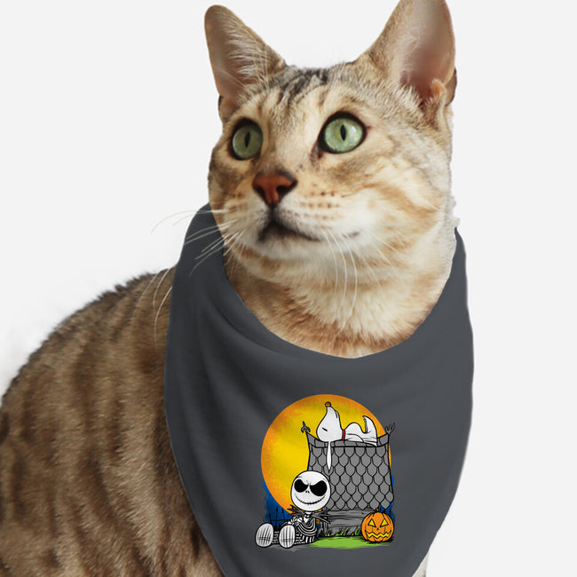 Skellingnuts-cat bandana pet collar-joerawks