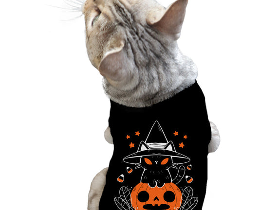 Halloween Kitty