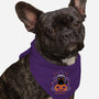 Halloween Kitty-dog bandana pet collar-xMorfina