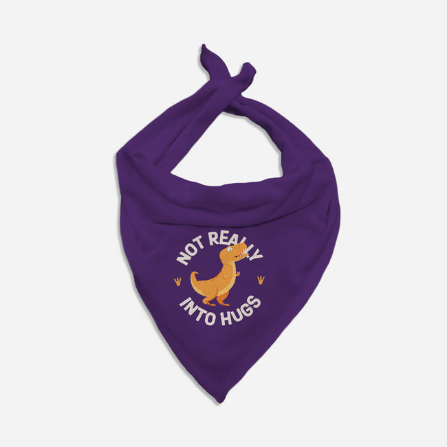 Not Really Into Hugs-cat bandana pet collar-zawitees