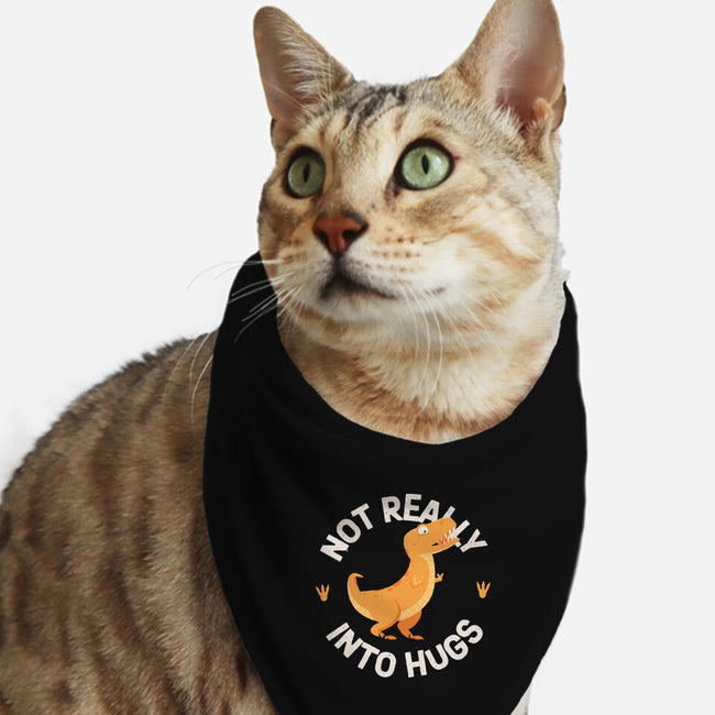 Not Really Into Hugs-cat bandana pet collar-zawitees