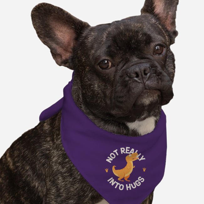 Not Really Into Hugs-dog bandana pet collar-zawitees