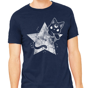 Kitten Star