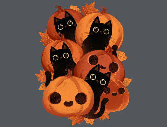 Pumpkins And Black Cats