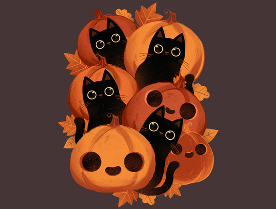 Pumpkins And Black Cats