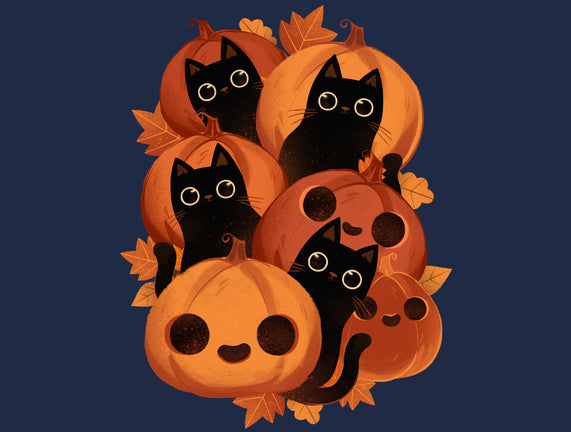Pumpkins And Black Cats