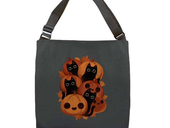Pumpkins And Black Cats