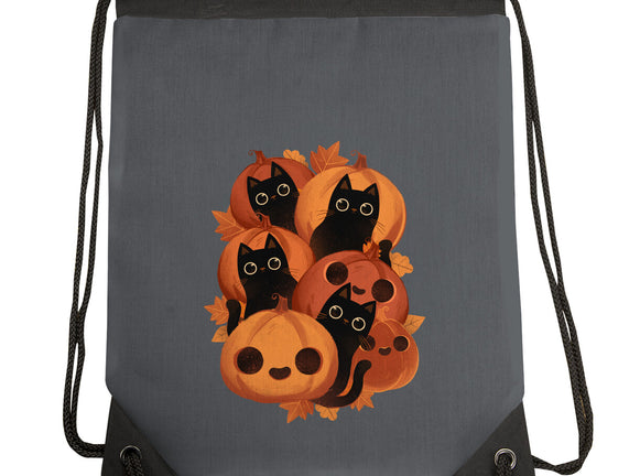 Pumpkins And Black Cats