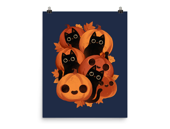 Pumpkins And Black Cats