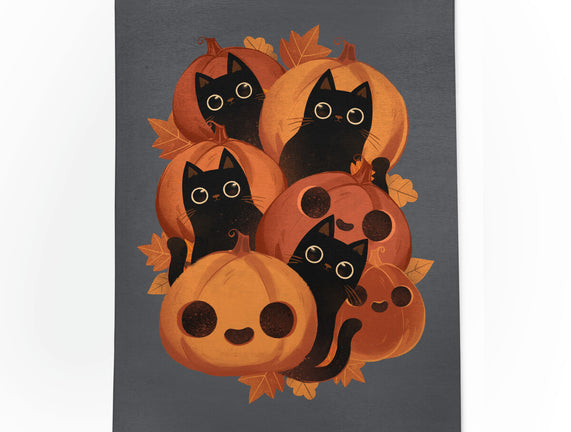 Pumpkins And Black Cats