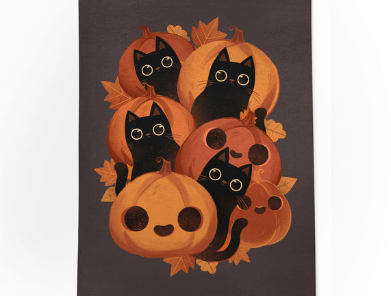 Pumpkins And Black Cats