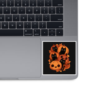 Pumpkins And Black Cats